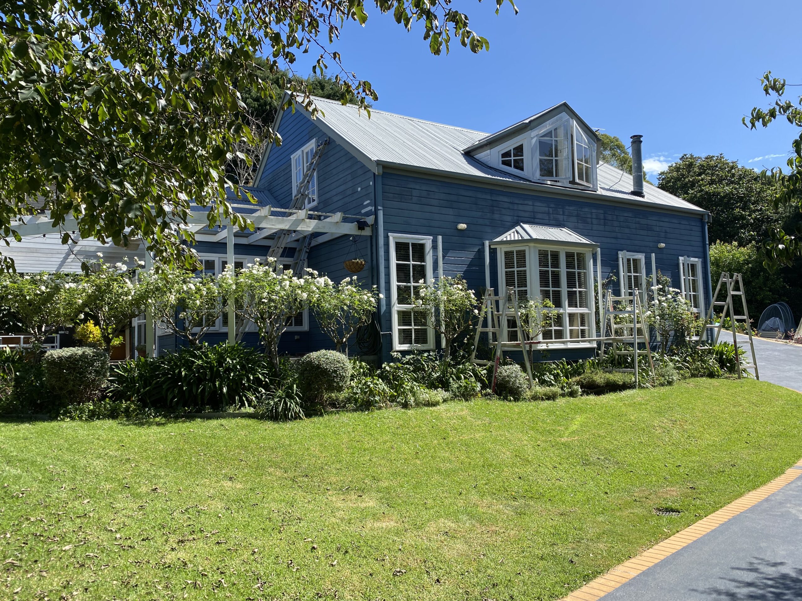 Blue painted house exterior surrounded by greenery and grass